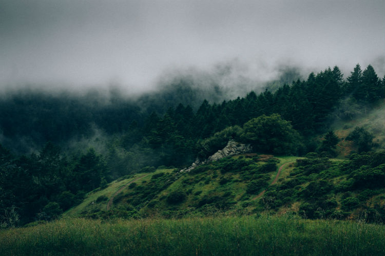 【商业版】授权的攻击网站在线工具